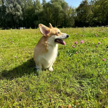 image-1-0